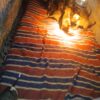 Best Puppy Adoption Centers Nairobi
