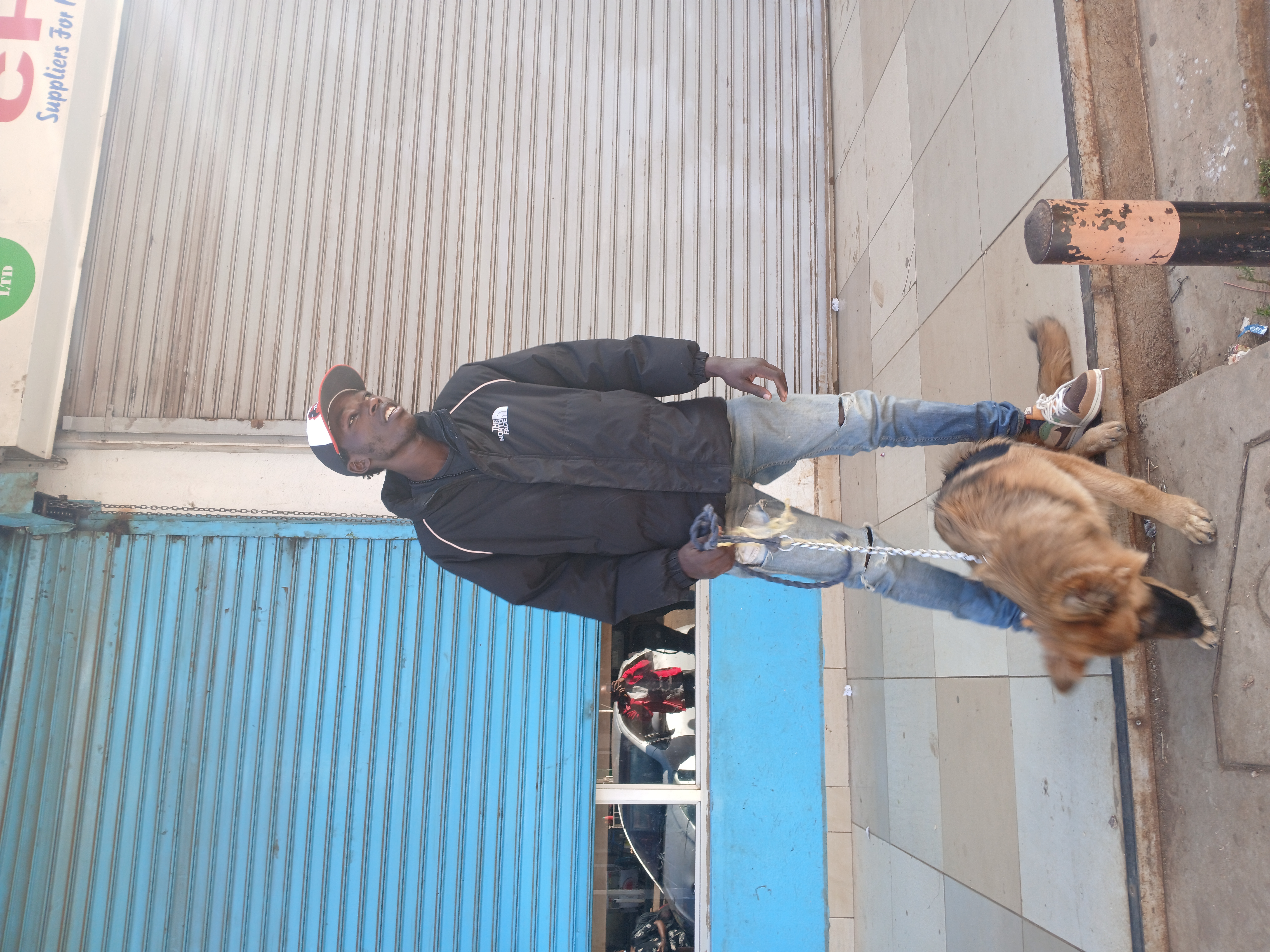 Evening Dog Walking Nairobi