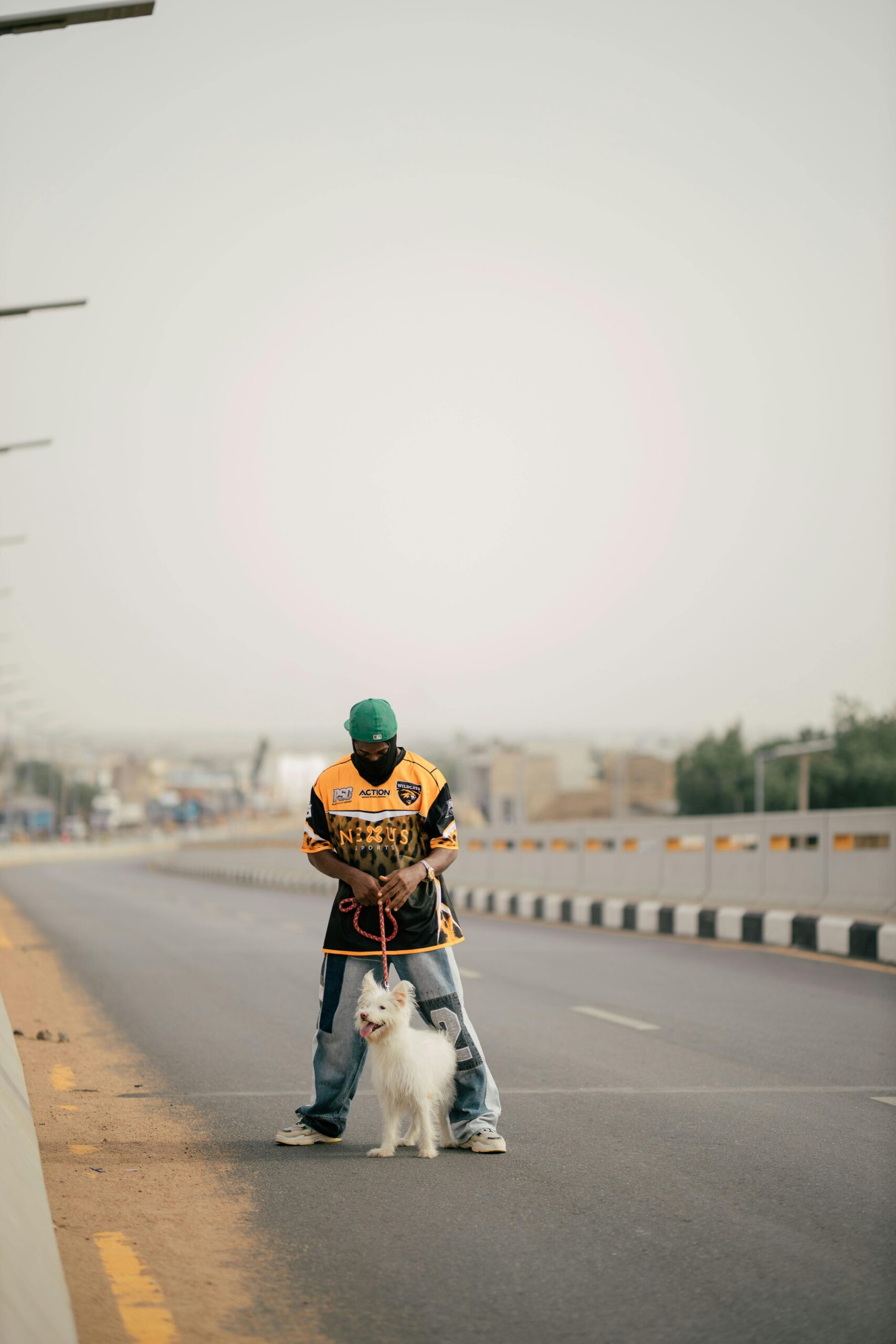 Pet walking in Nairobi